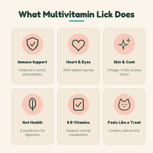 PurrGut Multivitamin Lick