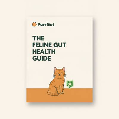 The Feline Gut Health Guide