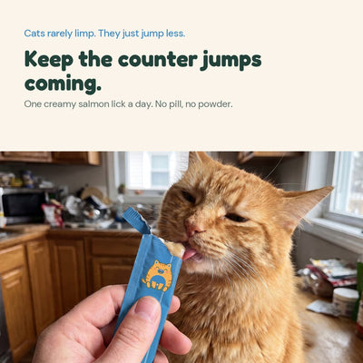 PurrGut Joint Lick