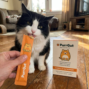 PurrGut