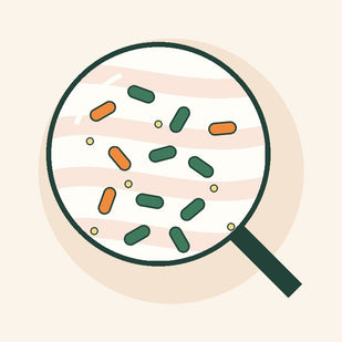 Good bacteria settle in